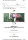 Google Map Photo 2.pdf